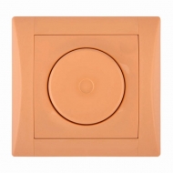 DSE 27-27006-110606