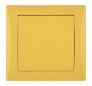 DSE 10-01009-110909