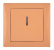 DSE 10-03006-110606