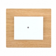 DSD 00-CK001-1160